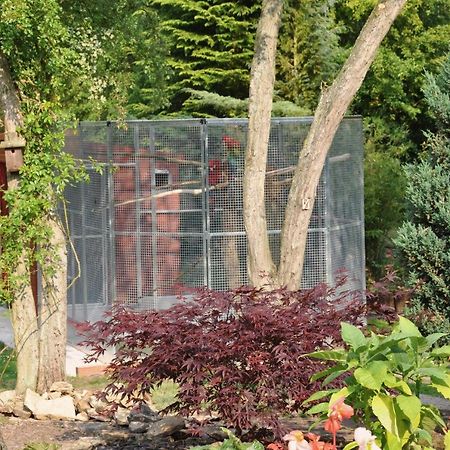 יורק The Willows Bed & Breakfast מראה חיצוני תמונה