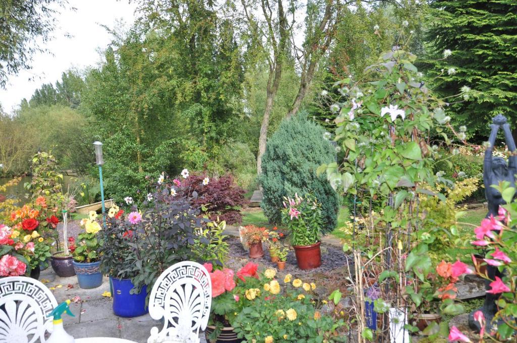 יורק The Willows Bed & Breakfast מראה חיצוני תמונה